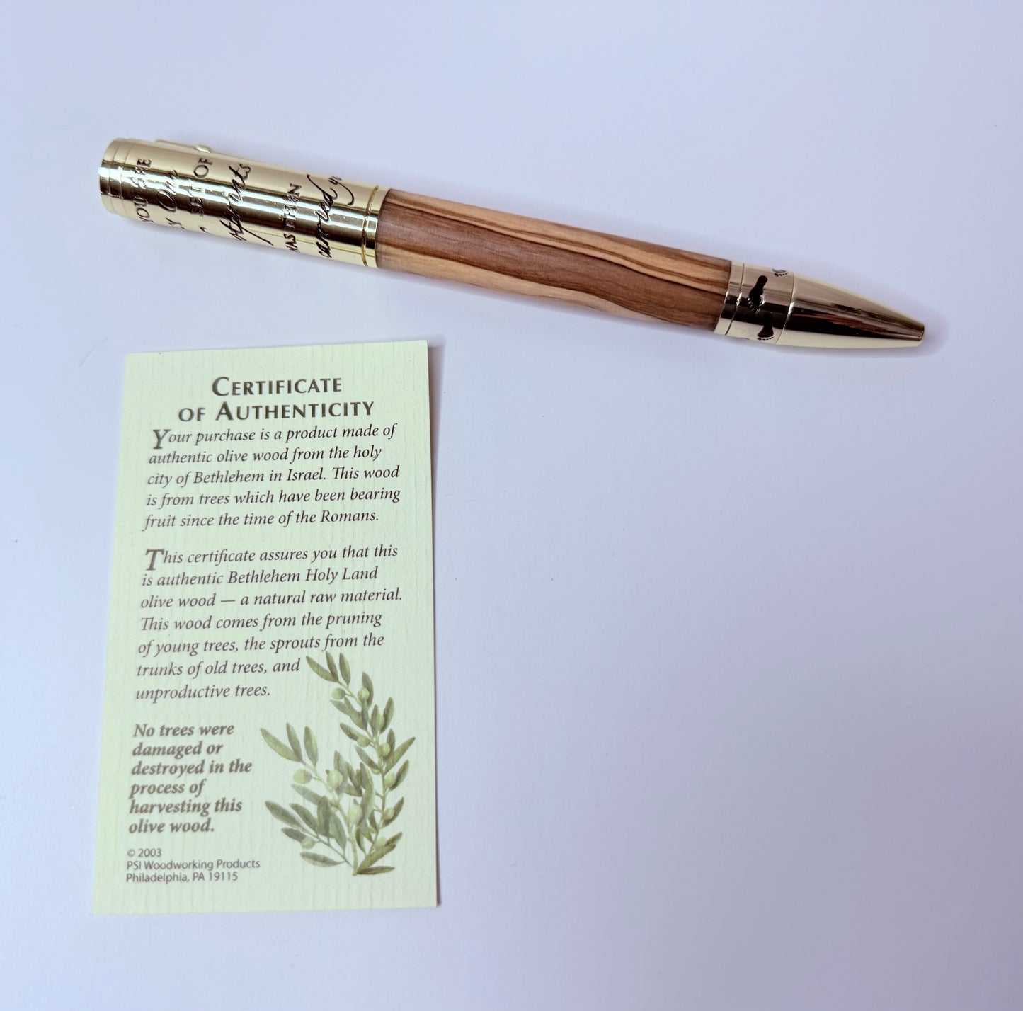 Footprints in the Sand Pen