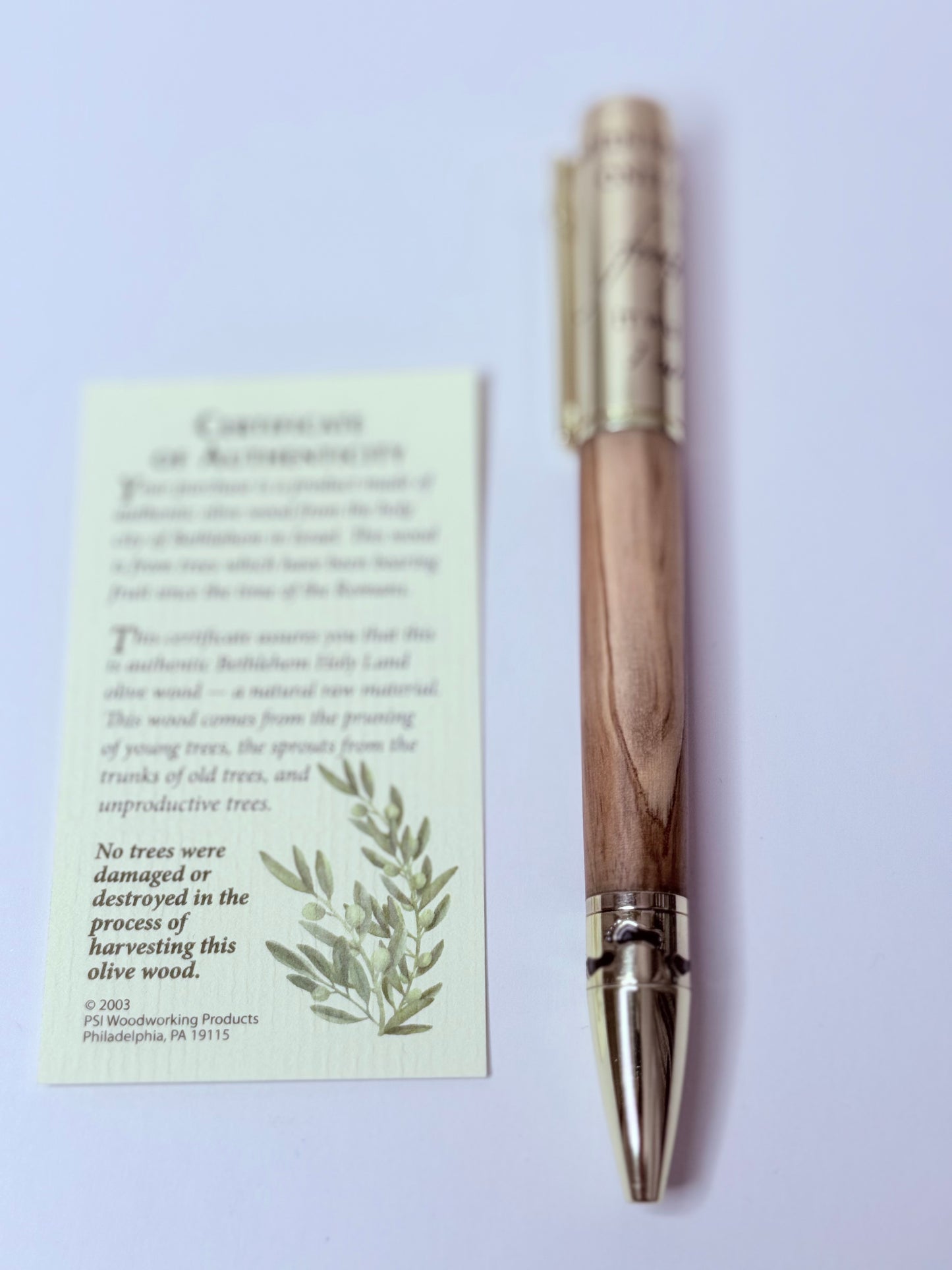 Footprints in the Sand Pen